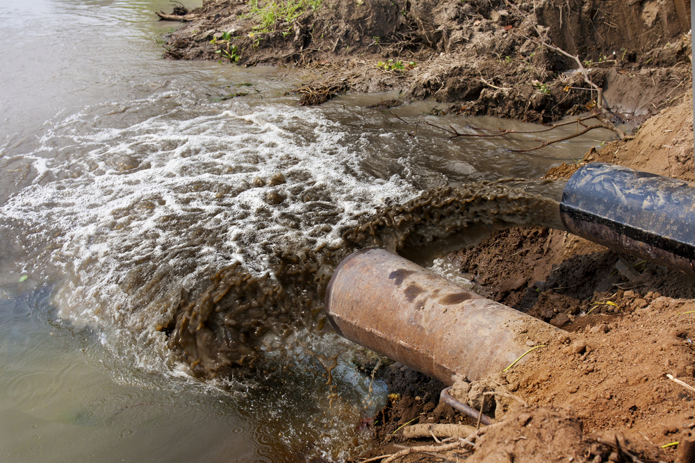 Polluted water coming out of pipes into stream