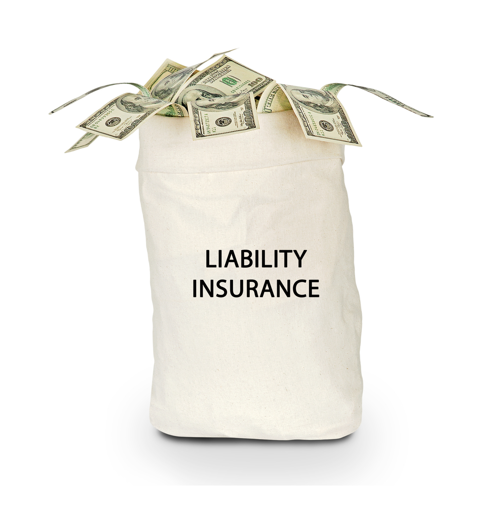 Bag-labeled-liability-insurance-with-US-currency-spilling-out-SS-arka38