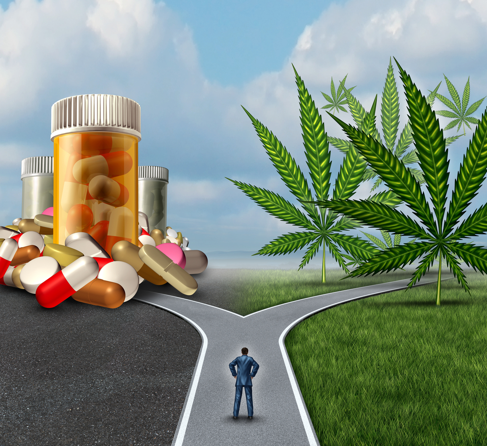 Marijuana-medical-choice-dilemma-health-care-concept-as-a-person-standing-in-front-of-two-paths-shutterstock_244381099-Lightspring