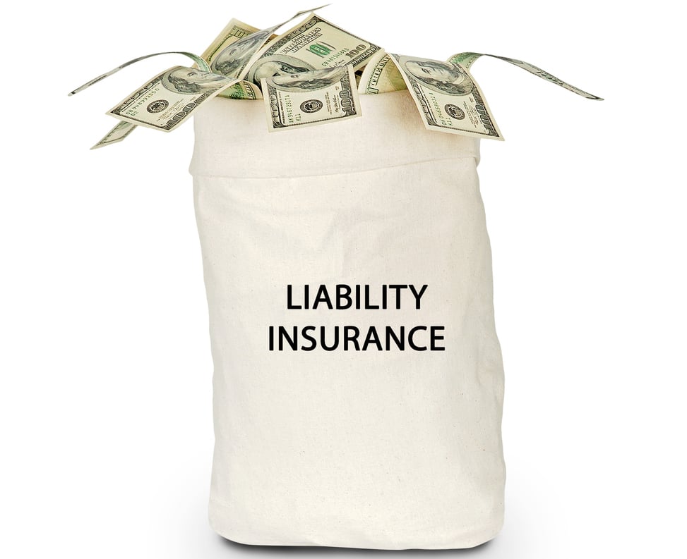 Bag-labeled-liability-insurance-with-US-currency-spilling-out-crop-SS-arka38