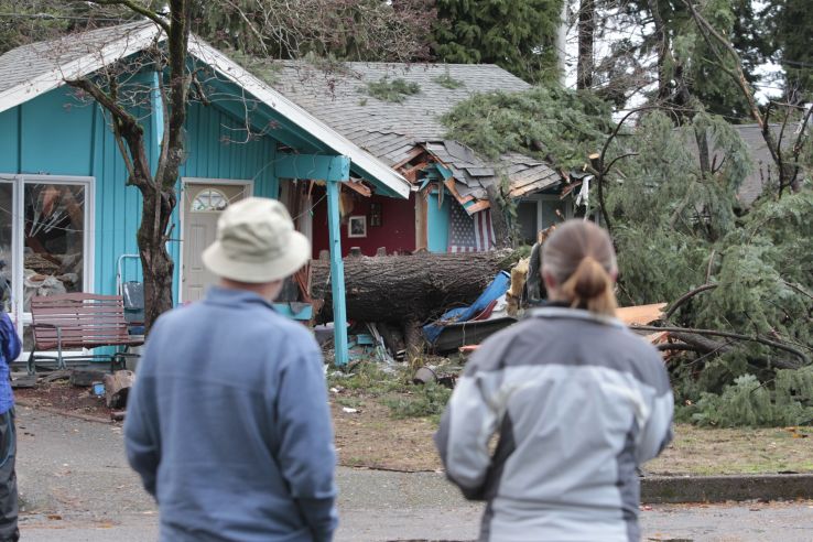 Neighbors survey damage from a large fir tree that fell on a house