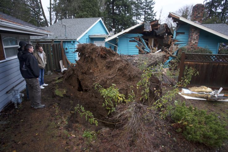Workers survey damage from a large fir tree that fell on a house