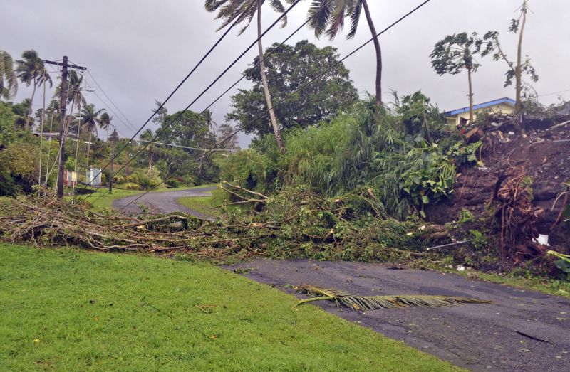 A tree lays across a road and power lines in Lami, Fiji, Feb. 21, 2016.