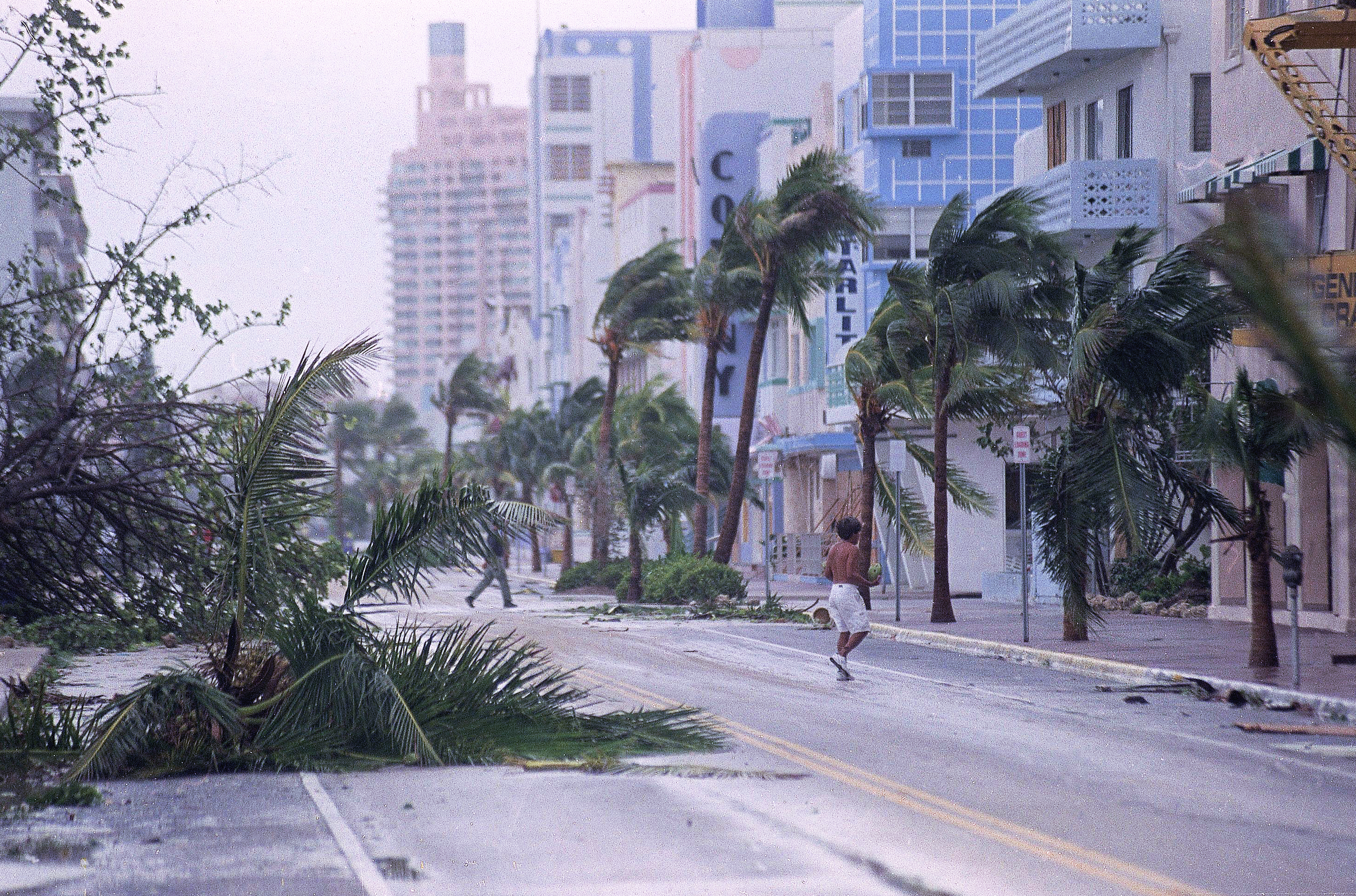 hurricane andrew financial impact