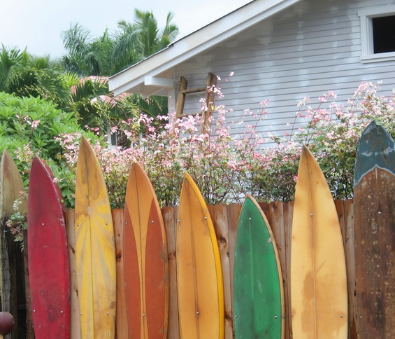 Surf boards in backyard