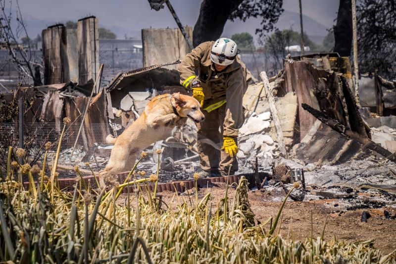 San Bernardino Fire Department firefighter works with a cadaver dog 