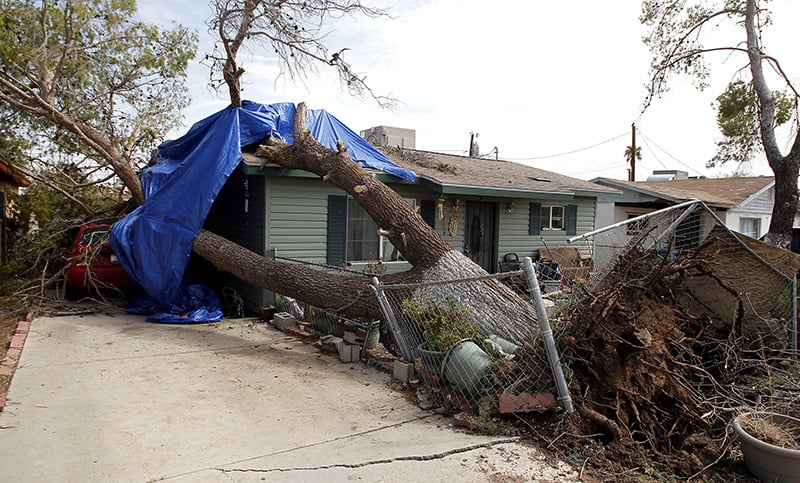Tree falls on house in dust storm