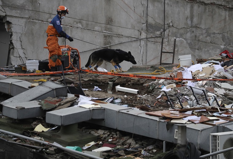 A handler and his rescue dog look for victims at the site of a quake-collapsed seven-story building in Mexico City's Roma Norte neighborhood, Friday, Sept. 22, 2017. Mexican officials are promising to keep up the search for survivors as rescue operations stretch into a fourth day following Tuesday's major earthquake that devastated Mexico City and nearby states. (AP Photo/Rebecca Blackwell)
