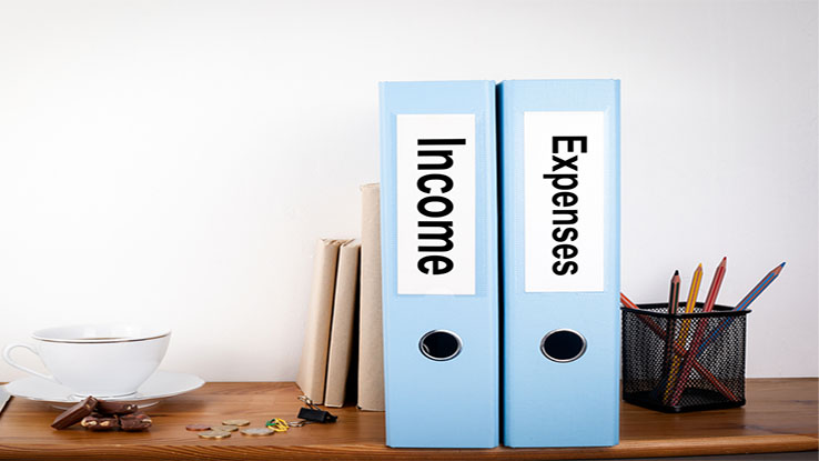 Blue-binders-labeled-income-and-expense-on-desk
