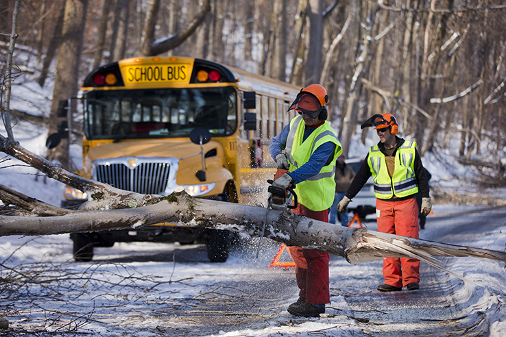 Men clearing downed tree in road in front of school bus